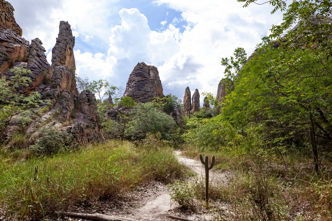 Panoramic view. Sete Cidades National Park - Piauí, Brazil, 2019. Record of landscape, caatinga and rock formations